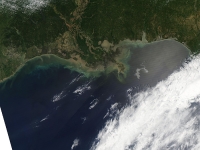 http://www.siyeonkim.com/files/gimgs/th-41_Oil Slick Spreads off Gulf Coast_s.jpg